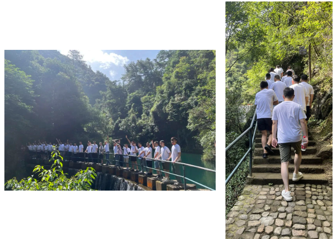 1663903432402825gbGc.png image.png